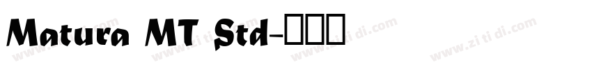 Matura MT Std字体转换